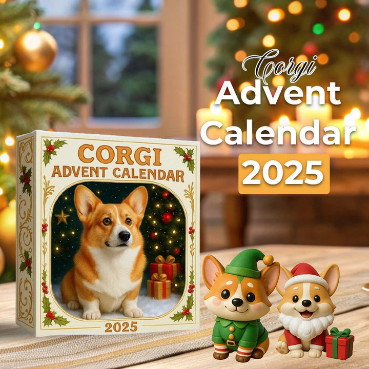 🎄Corgi Adventskalender 2025 🐶