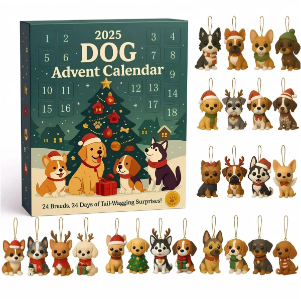🐶 Adventskalender für Hunde 2025